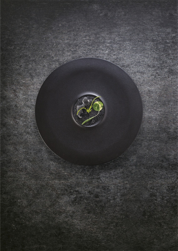 Assiette plate petite aile rond noir porcelaine vitrifiée Ø 32,8 cm Neo Fusion Rak