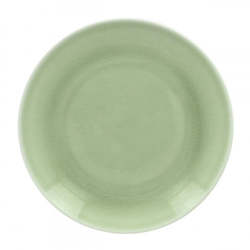 Assiette coupe plate rond vert porcelaine vitrifiée Ø 29,3 cm Vintage Rak