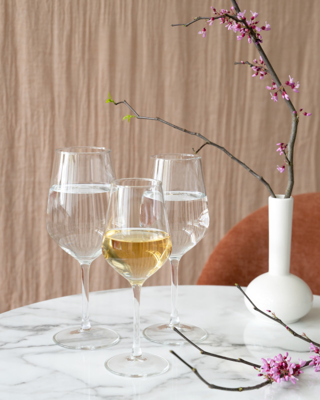 Verre à pied verre 25 cl Vasco Pro.mundi