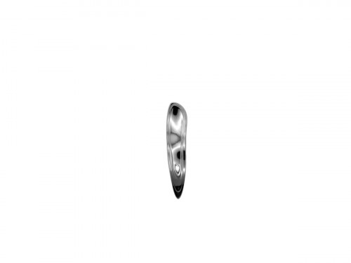 Cuillère amuse-bouche plate droit inox 18/10 14,65 cm Caikos Rak